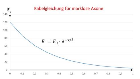 Kabelgleichung fï¿½r marklose Axone