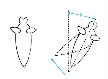 Vestibular-triggered correction movements 