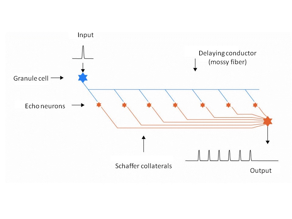 Simplified diagram of an echo generator