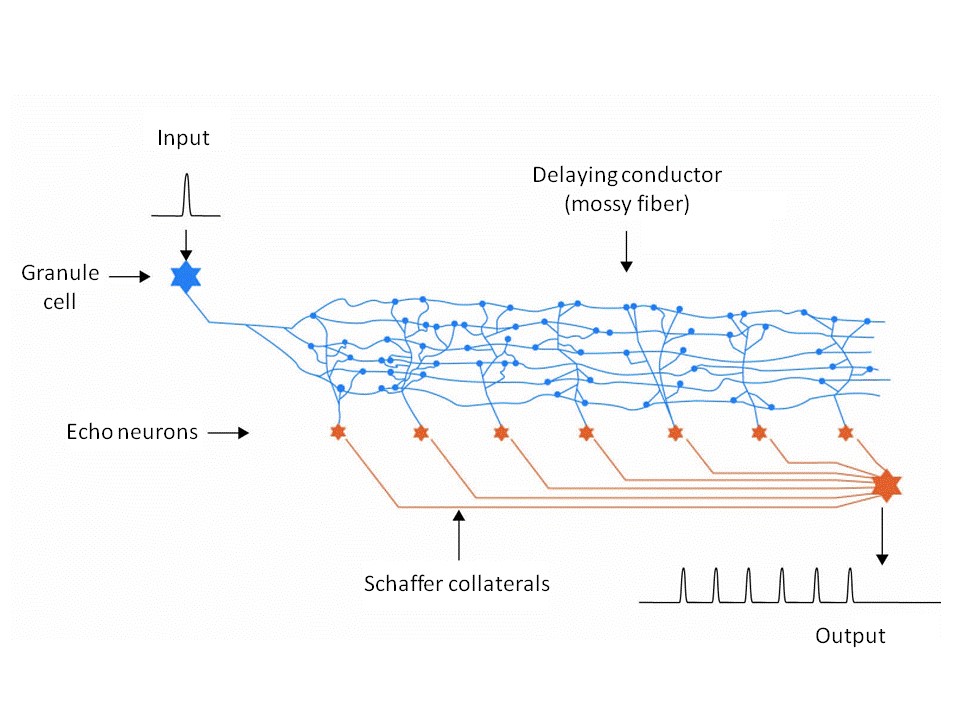 More realistic diagram of an echo generator