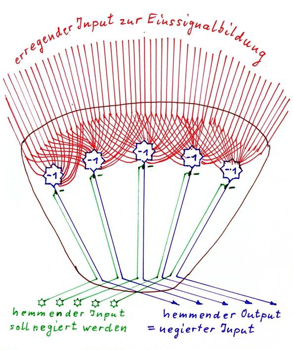 Negative negation nucleus - basic structure