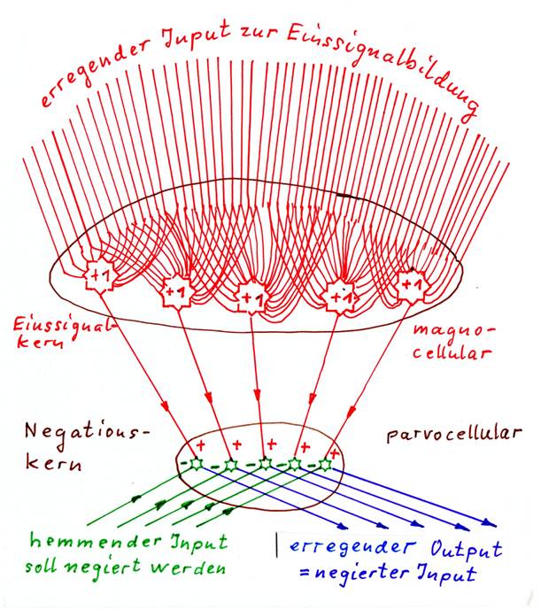 Positive negation nucleus - basic structure