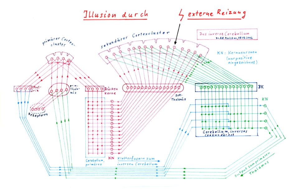 The creation of illusions - The inverse cerebellum - The inner canvas