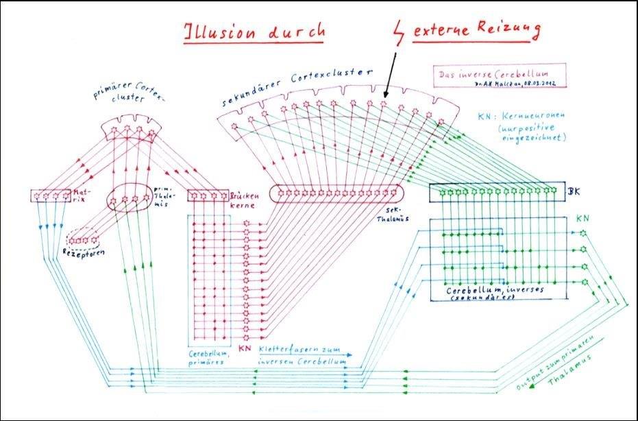 Die Entstehung von Illusionen � Das inverse Cerebellum � Die innere Leinwand