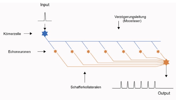 Echogenerator � vereinfachte Darstellung