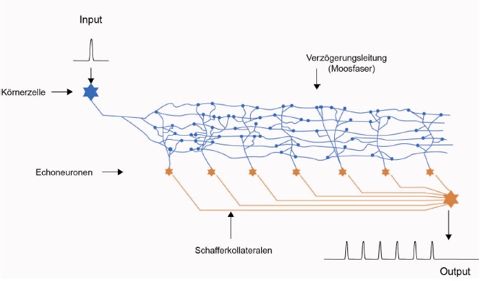 Echogenerator � realitätsnahe Darstellung